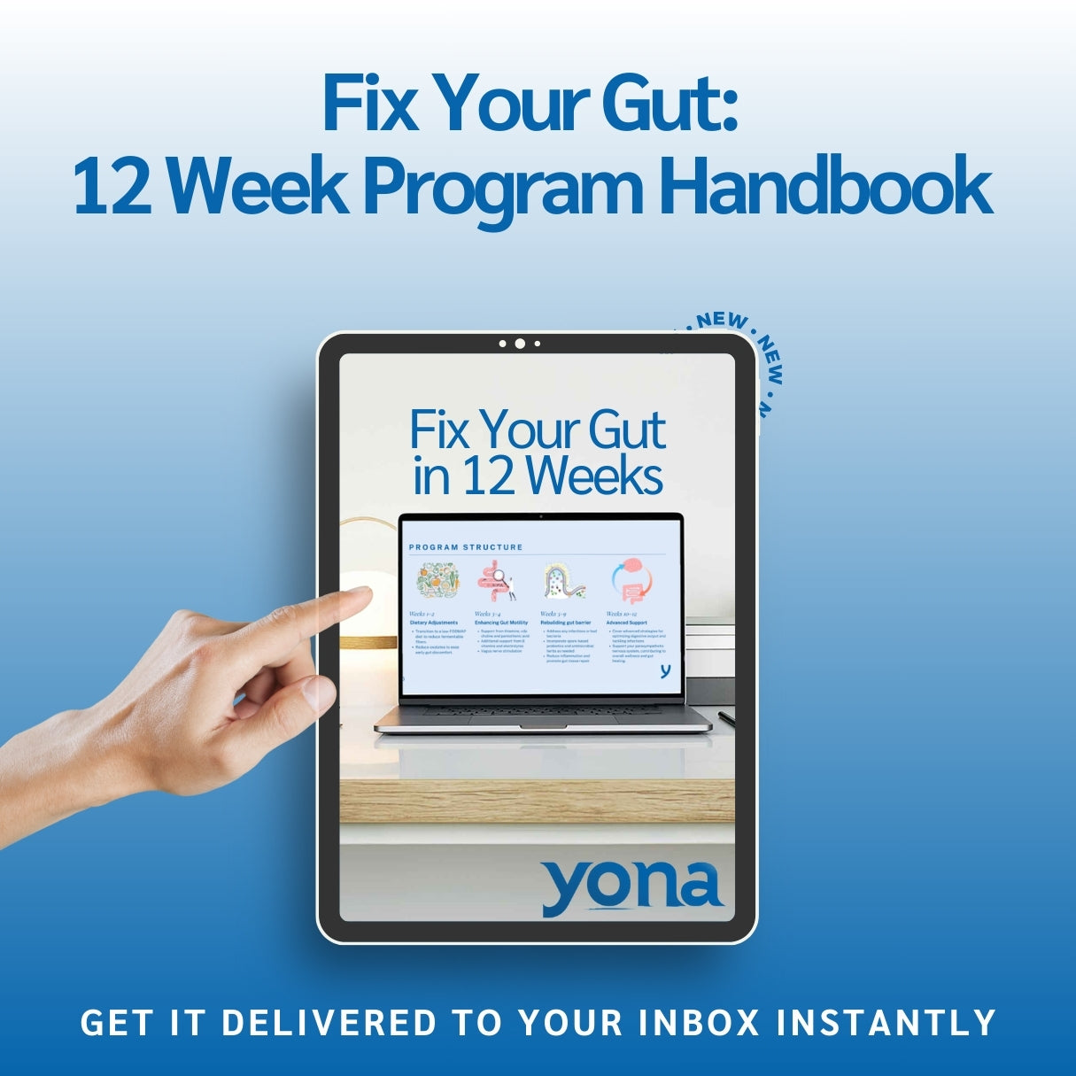 12 Week Program Handbook